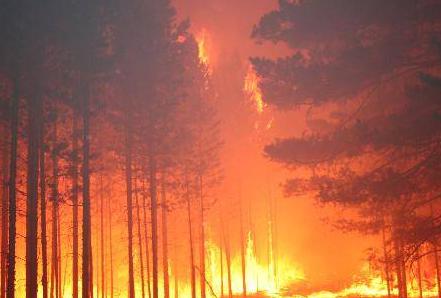 雷電所造成的危害—和你有關(guān)的3點(diǎn)要知道(連載2)【易造防雷】