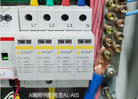 后備保護(hù)器