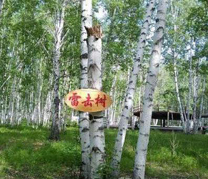 雷對建筑物的危害-點(diǎn)擊了解（連載2）【易造防雷】