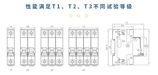 知名后備式保護器-試驗等級 知名后備式保護器-試驗等級