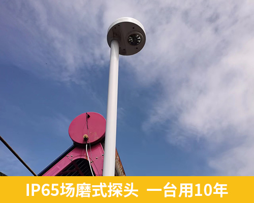 IP65場磨式探頭  一臺用10年