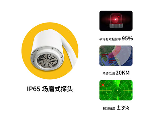 EW 3.0 雷電預(yù)警系統(tǒng)組成-IP65探頭 EW 3.0 雷電預(yù)警系統(tǒng)組成-IP65探頭