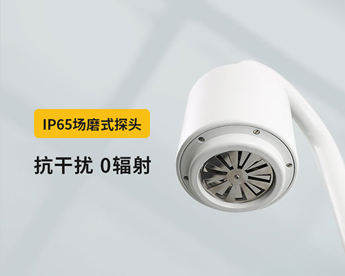 山東某油庫選用WE3.0雷電預(yù)警系統(tǒng)-IP65探頭 山東某油庫選用WE3.0雷電預(yù)警系統(tǒng)-IP65探頭