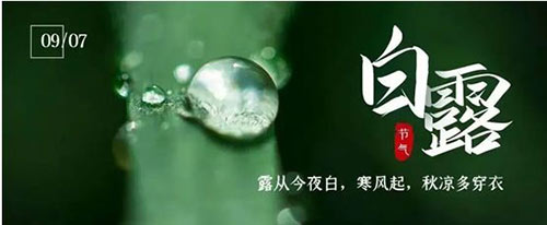 白露 | 夏意已去，涼秋來臨