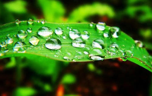 白露 | 夏意已去，涼秋來臨